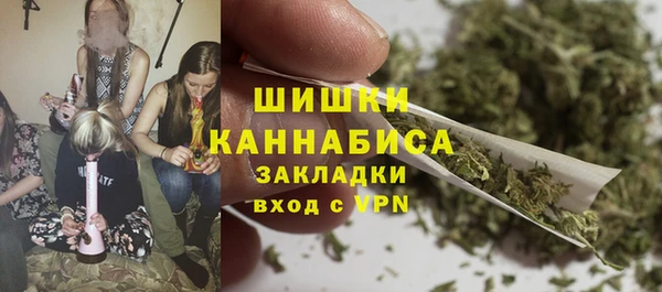 винт Липки