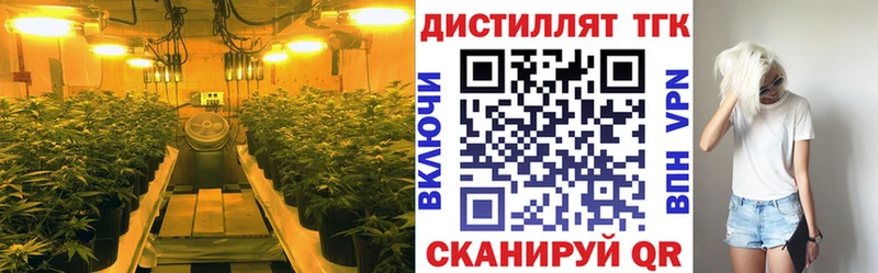 ТГК концентрат  KRAKEN   Шадринск 